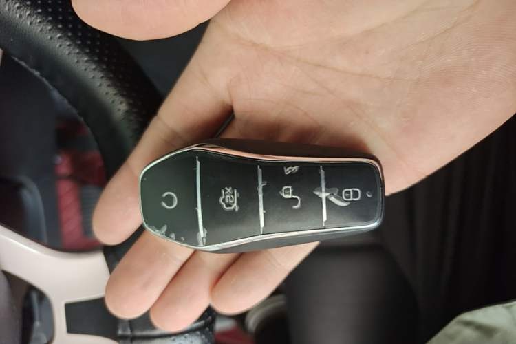 Used BYD Seagull 2023 Flying Edition Vehicle Key