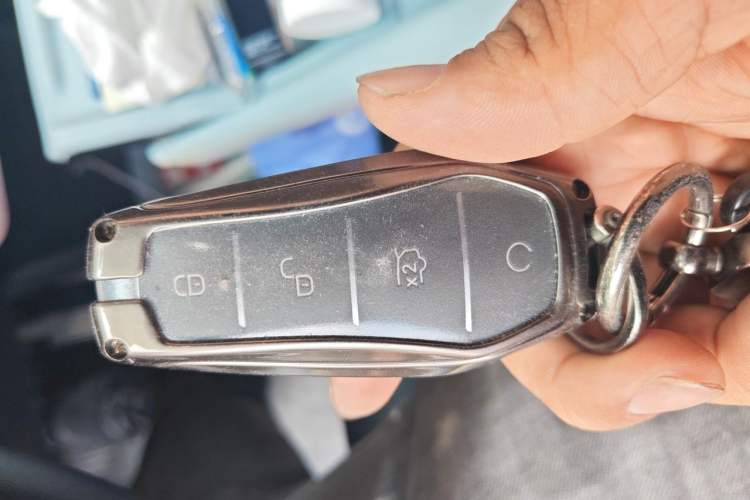 Used BYD Seagull 2023 Free Edition Vehicle Key