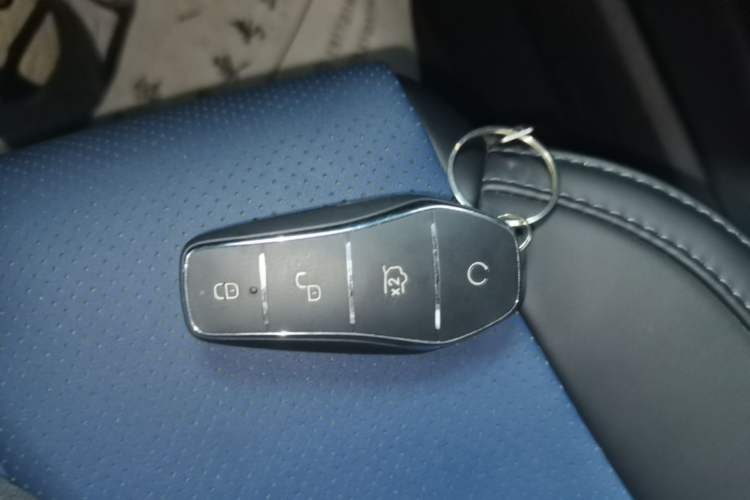 Used BYD Seagull 2023 Free Edition Vehicle Key