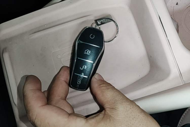 Used BYD Seagull 2023 Free Edition Vehicle Key
