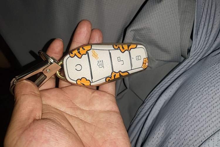 Used BYD Seagull 2023 Free Edition Vehicle Key