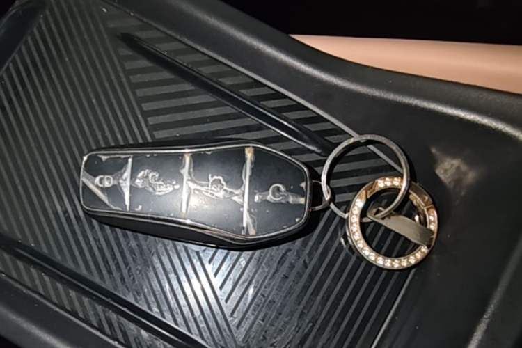 Used BYD Seagull 2023 Free Edition Vehicle Key