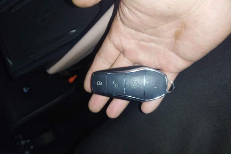 Used BYD Seagull 2023 Free Edition Vehicle Key