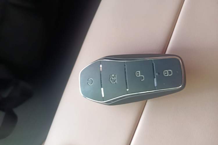 Used BYD Seagull 2023 Free Edition Vehicle Key