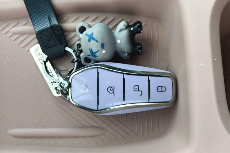 Used BYD Seagull 2023 Free Edition Vehicle Key