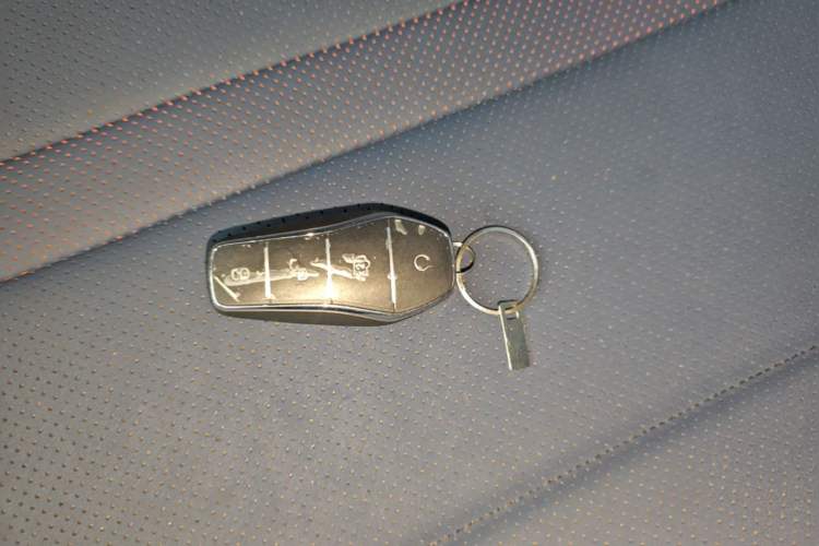Used BYD Seagull 2023 Flying Edition Vehicle Key