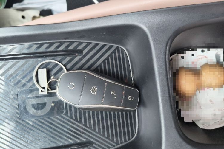 Used BYD Seagull 2023 Flying Edition Vehicle Key