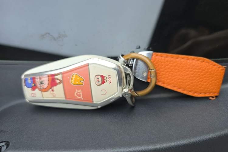 Used BYD Seagull 2023 Free Edition Vehicle Key
