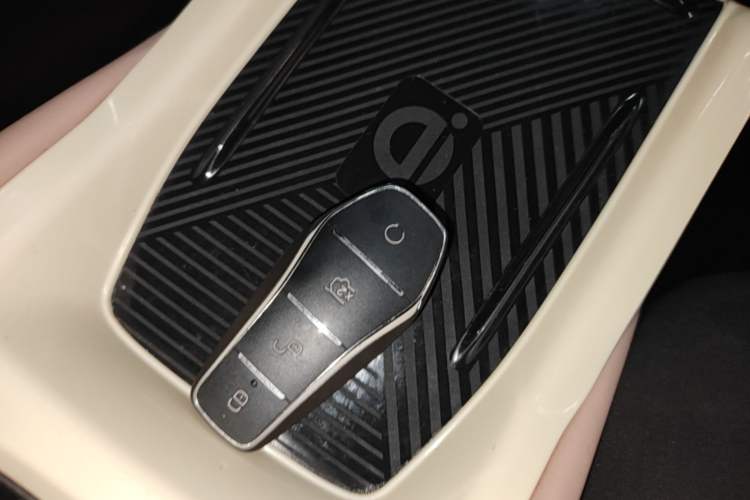 Used BYD Seagull 2023 Free Edition Vehicle Key