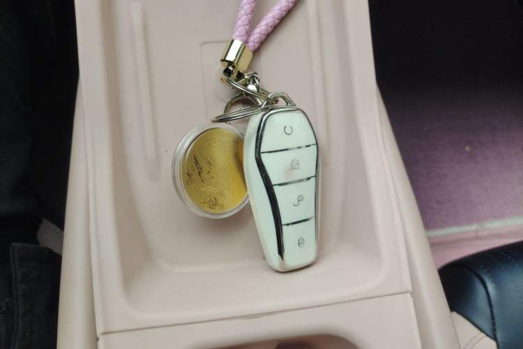 Used BYD Seagull 2023 Free Edition Vehicle Key