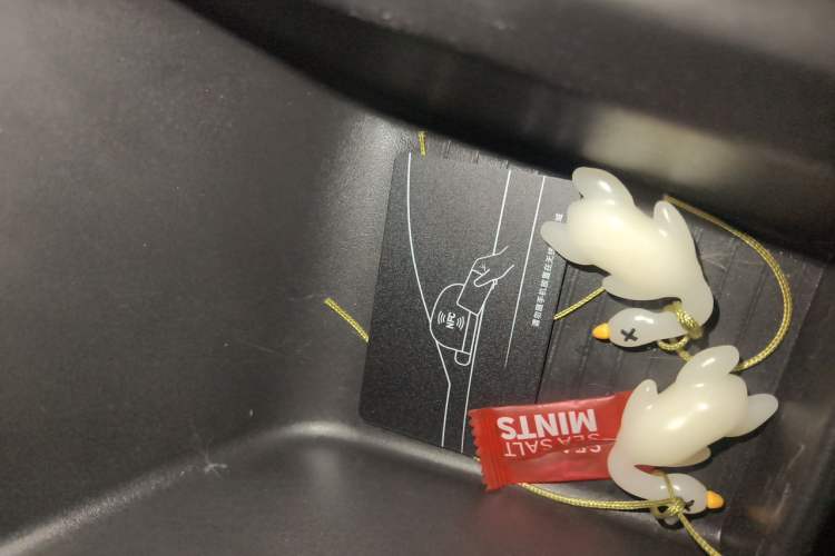 Used BYD Seagull 2023 Free Edition Vehicle Key