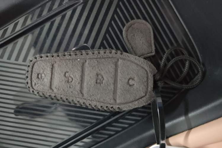 Used BYD Seagull 2023 Flying Edition Vehicle Key
