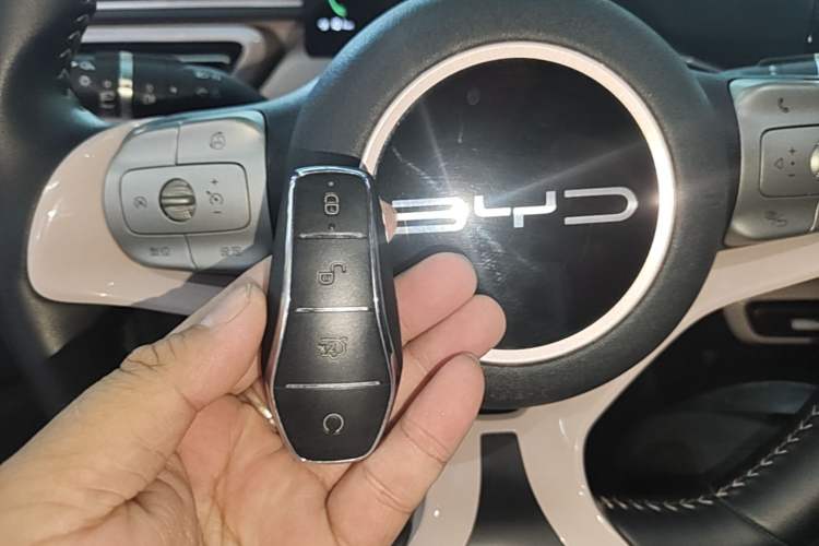 Used BYD Seagull 2023 Flying Edition Vehicle Key
