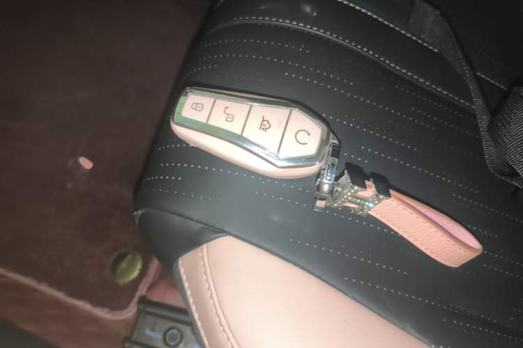 Used BYD Seagull 2023 Flying Edition Vehicle Key