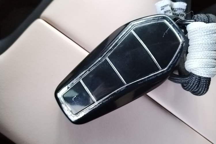 Used BYD Seagull 2023 Free Edition Vehicle Key