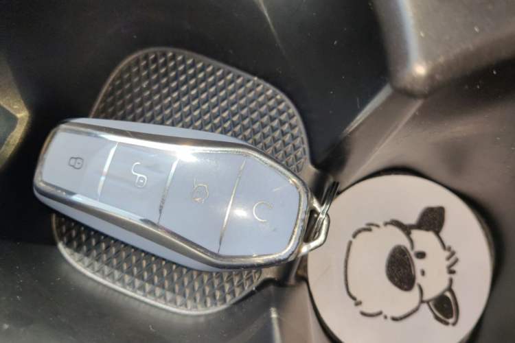 Used BYD Seagull 2023 Free Edition Vehicle Key