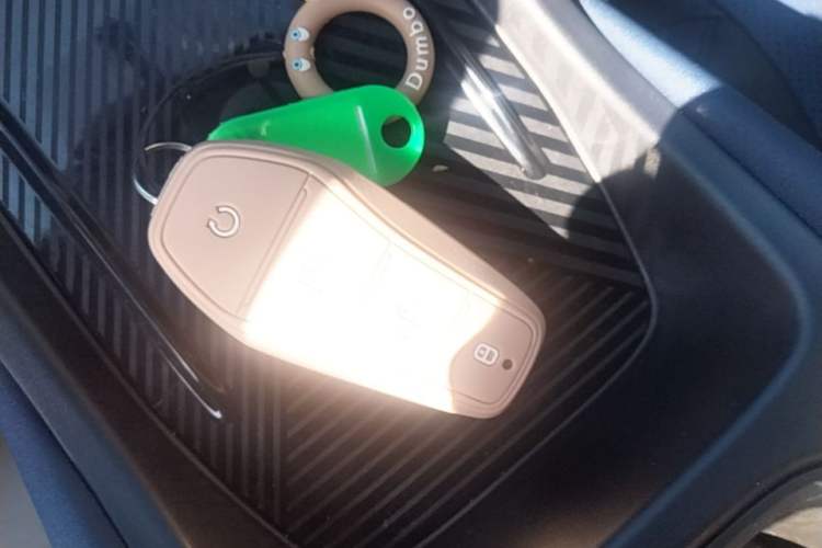 Used BYD Seagull 2023 Flying Edition Vehicle Key