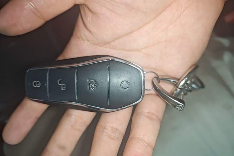 Used BYD Seagull 2023 Free Edition Vehicle Key
