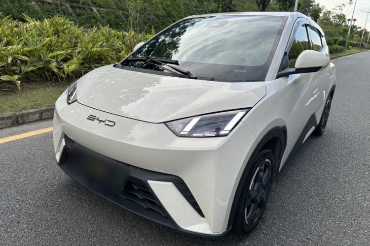 Used BYD Seagull 2023 Flying Edition Guazi used car, China used car export, Used car for sale, Used cars, Cheapest cars for sale