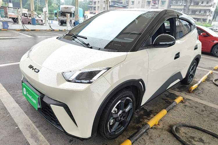 Used BYD Seagull 2023 Free Edition Guazi used car, China used car export, Used car for sale, Used  cars, Cheapest cars for sale