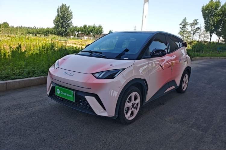 Used BYD Seagull 2023 Flying Edition Guazi used car, China used car export, Used car for sale, Used  cars, Cheapest cars for sale