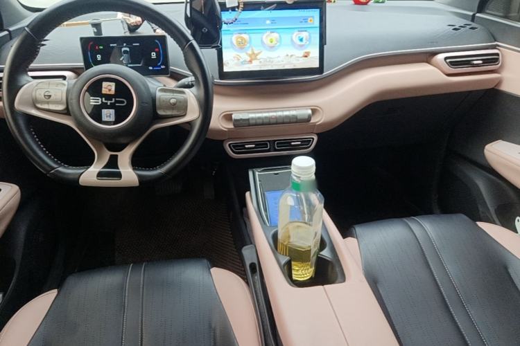 Used BYD Seagull 2023 Free Edition Center Console