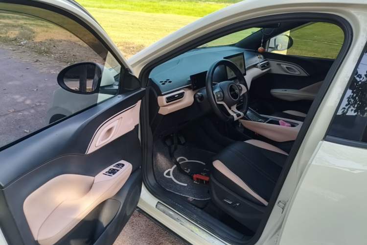 Used BYD Seagull 2023 Flying Edition Driver Seat