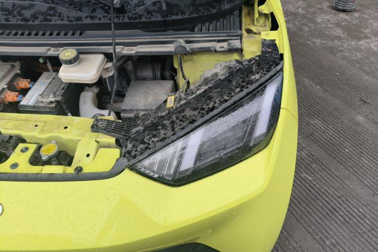 Used BYD Seagull 2023 Flying Edition Engine Bay Left