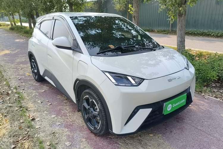 Used BYD Seagull 2023 Flying Edition Exterior 1