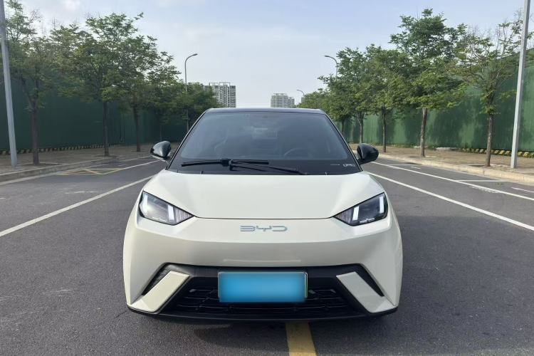 Used BYD Seagull 2023 Free Edition Exterior 1