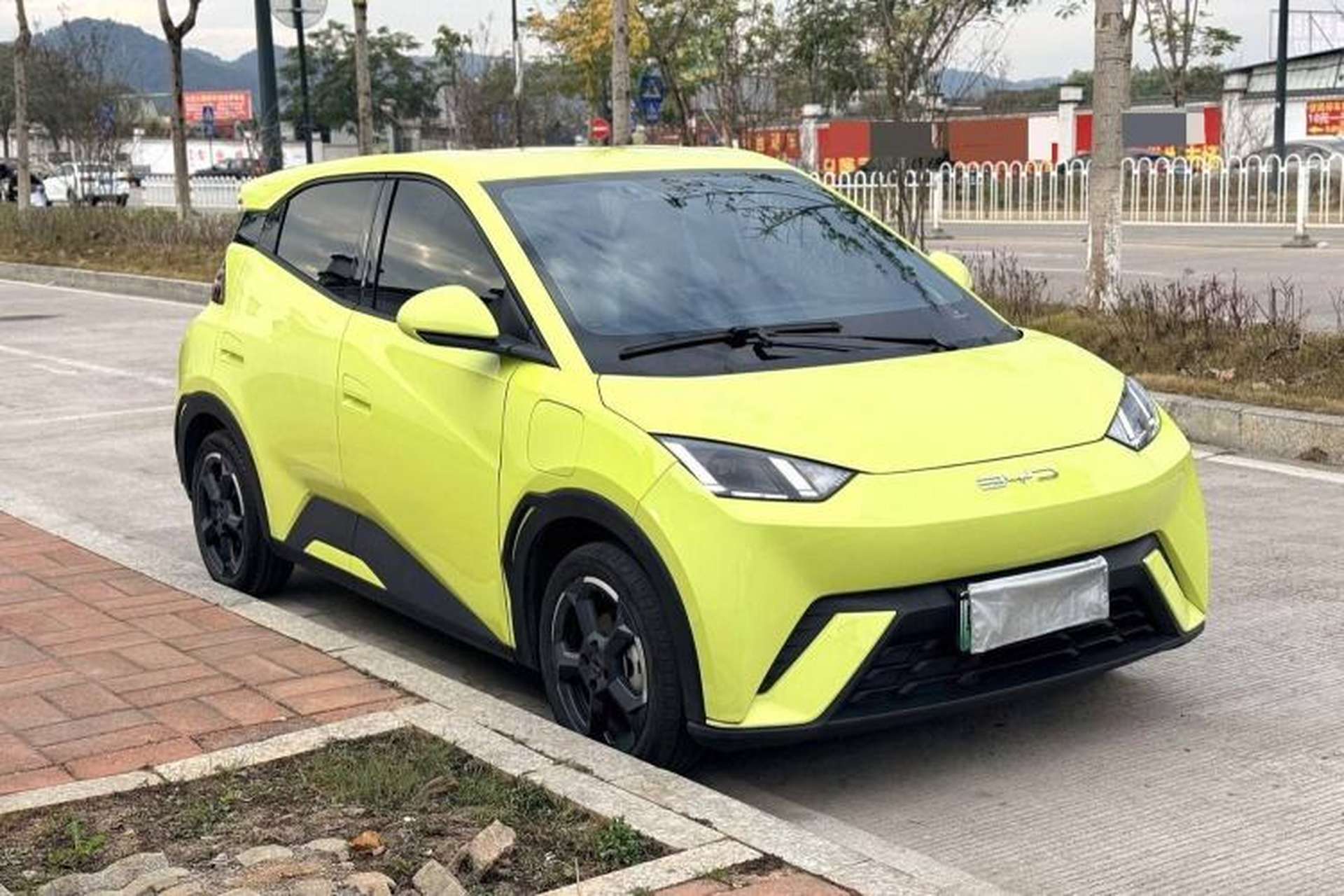 Used BYD Seagull 2023 Flying Edition Exterior 2