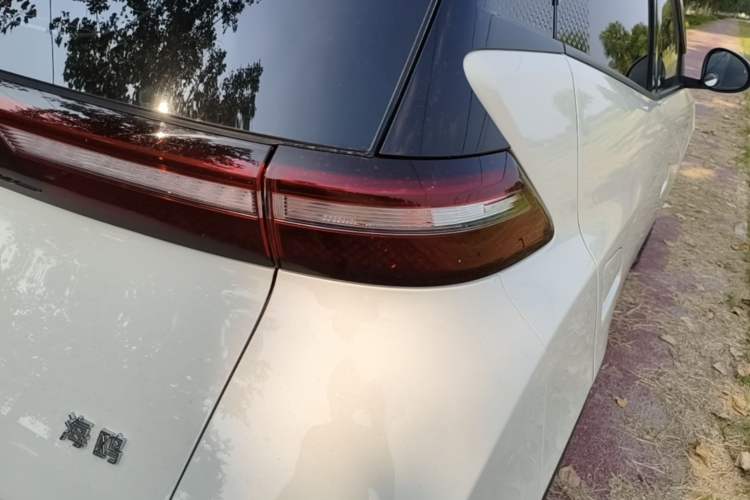 Used BYD Seagull 2023 Flying Edition Exterior 3
