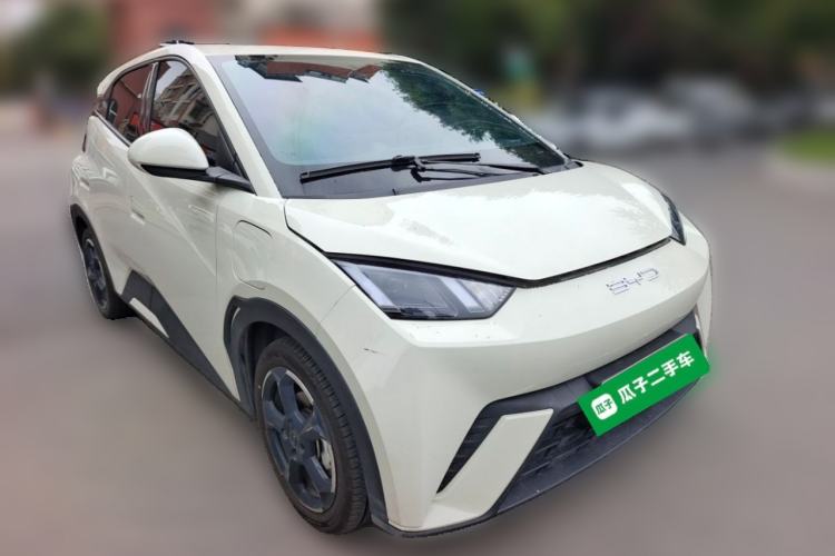 Used BYD Seagull 2023 Free Edition Front Right 45 Deg