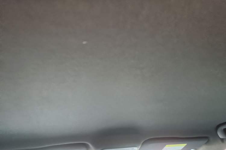 Used BYD Seagull 2023 Free Edition Headliner