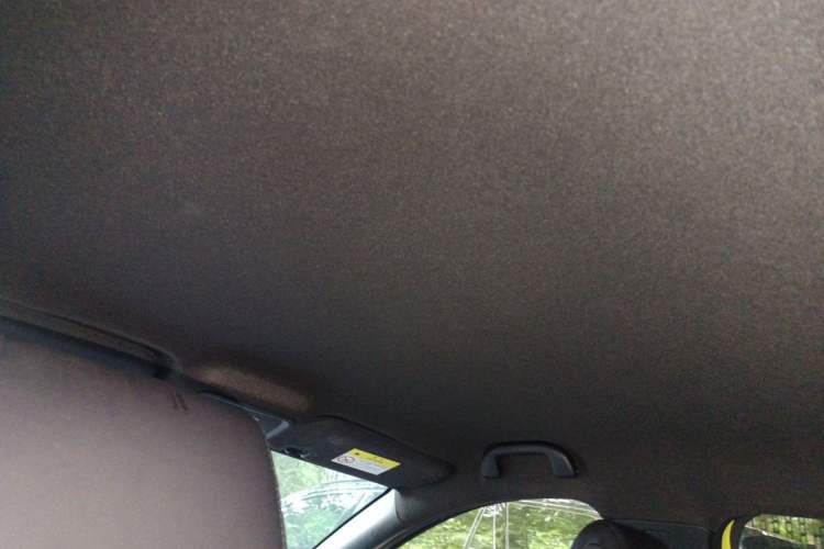 Used BYD Seagull 2023 Flying Edition Headliner