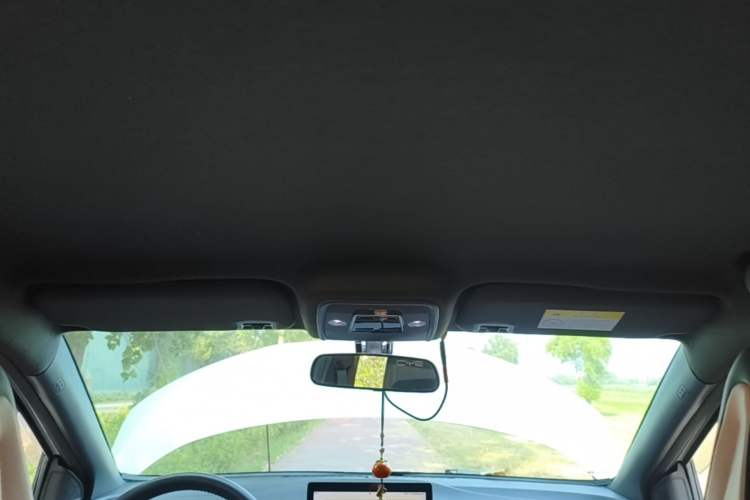 Used BYD Seagull 2023 Flying Edition Headliner