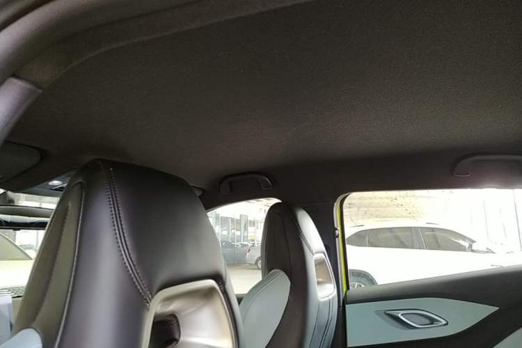 Used BYD Seagull 2023 Flying Edition Headliner
