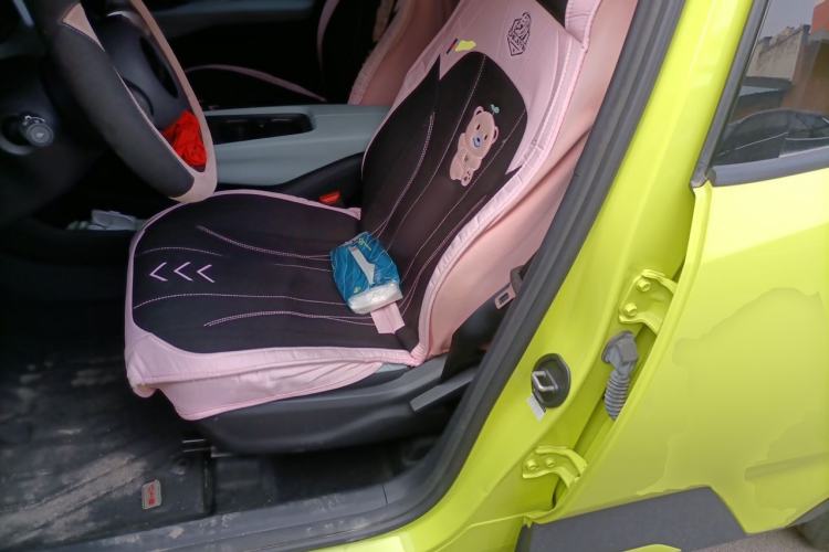 Used BYD Seagull 2023 Free Edition Left Front Seat