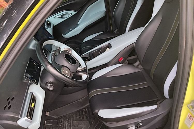 Used BYD Seagull 2023 Flying Edition Left Front Seat