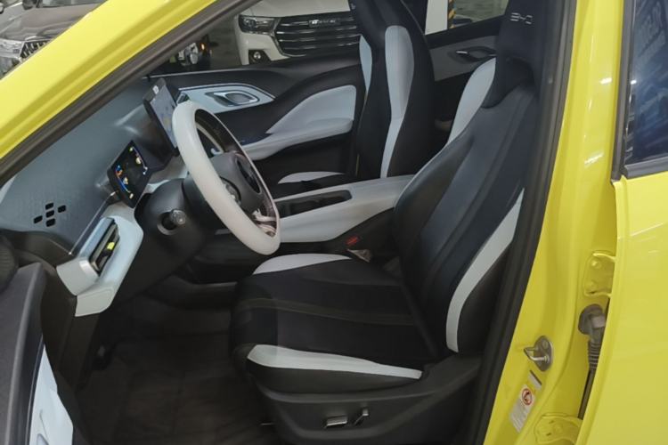 Used BYD Seagull 2023 Flying Edition Left Front Seat