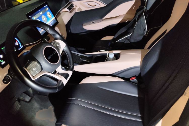Used BYD Seagull 2023 Flying Edition Left Front Seat