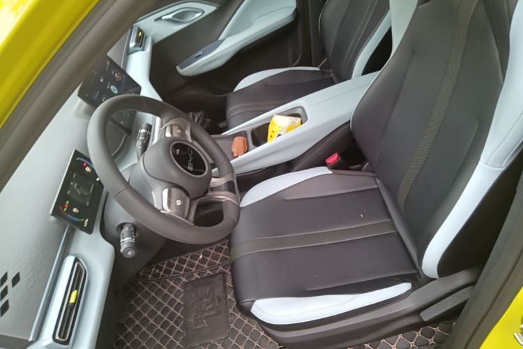 Used BYD Seagull 2023 Active Version Left Front Seat
