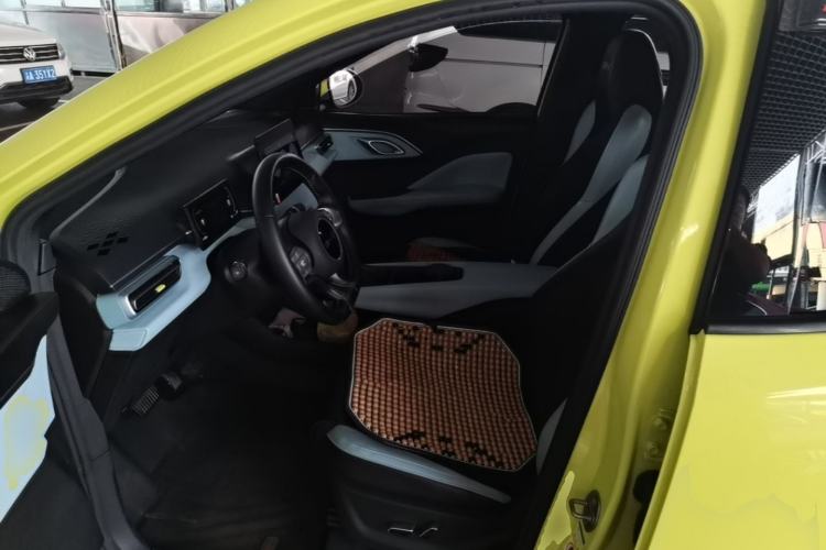 Used BYD Seagull 2023 Flying Edition Left Front Seat