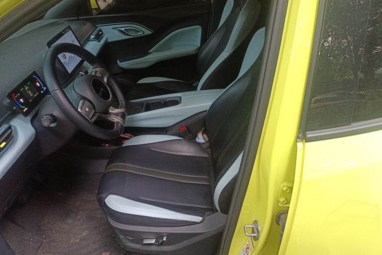 Used BYD Seagull 2023 Flying Edition Left Front Seat