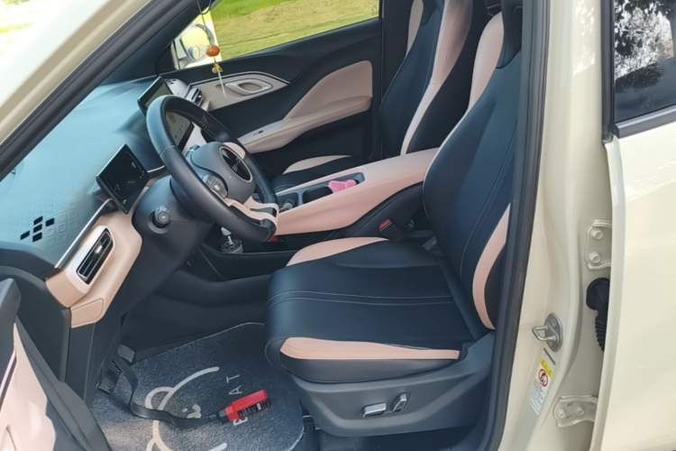 Used BYD Seagull 2023 Flying Edition Left Front Seat
