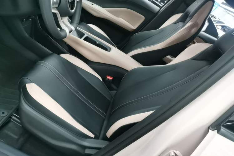 Used BYD Seagull 2023 Active Version Left Front Seat