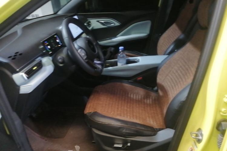 Used BYD Seagull 2023 Flying Edition Left Front Seat