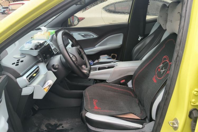 Used BYD Seagull 2023 Flying Edition Left Front Seat
