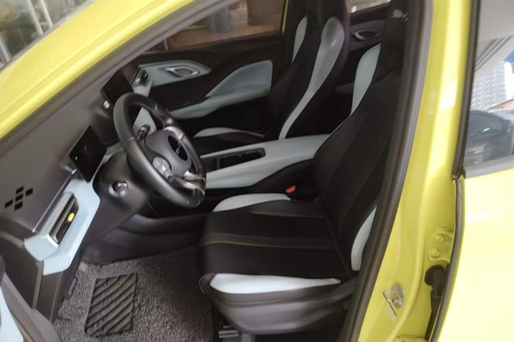 Used BYD Seagull 2023 Free Edition Left Front Seat