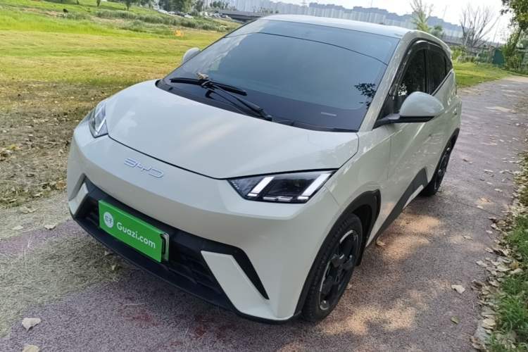 Used BYD Seagull 2023 Flying Edition Guazi used car, China used car export, Used car for sale, Used cars, Cheapest cars for sale